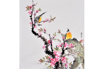 星空app官方网页