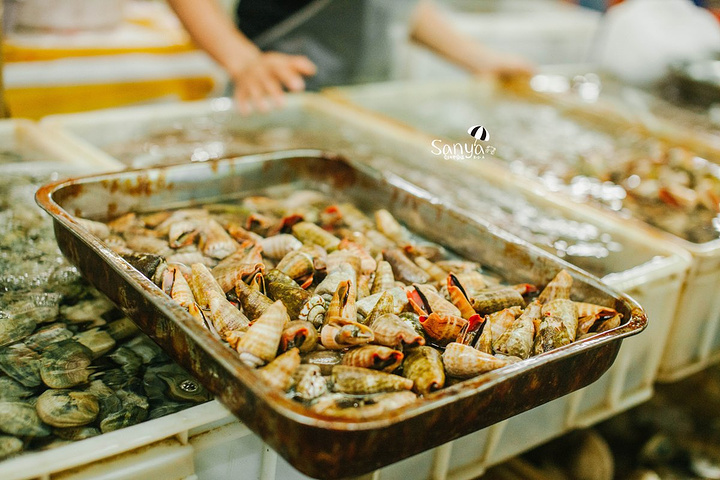 星空app官方网页