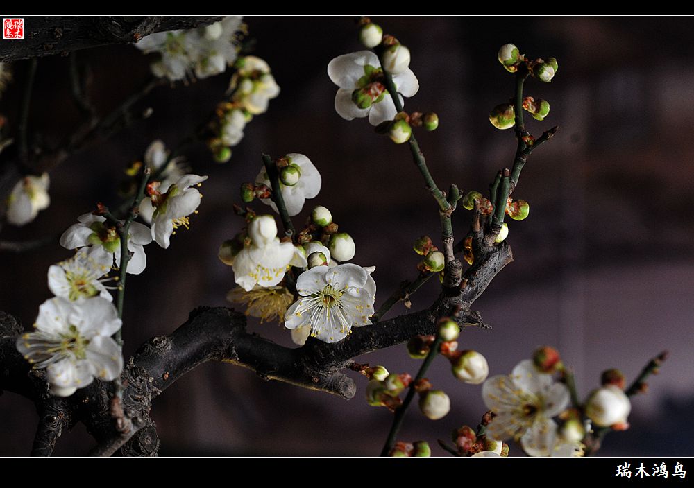 格子倒钩破荒 马竞2-0罗马_星空官方网站(图3) 星空官方网站