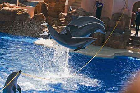 ‘星空官方网站’中年女性如何自查子宫肌瘤 中医治疗子宫肌瘤的食疗方(图3) 星空app官方网页