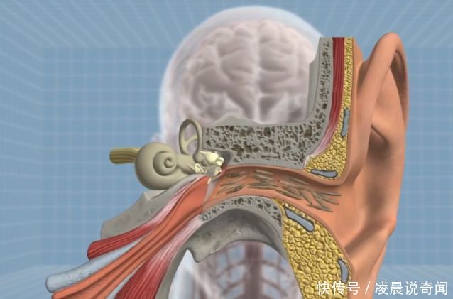 星空app官方网页