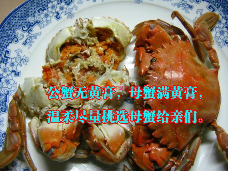 星空app官方网页